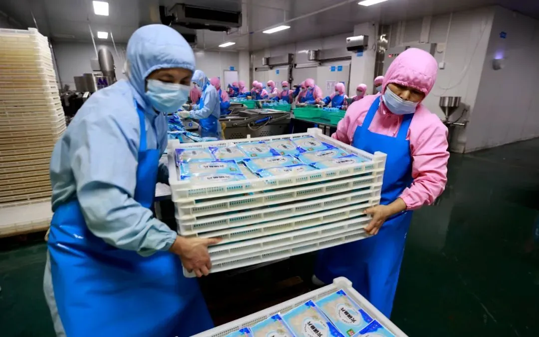 2023年9月13日，江西吉安，峡江县绿色食品产业园一家预制菜企业，工人在预制菜生产流水线上作业。